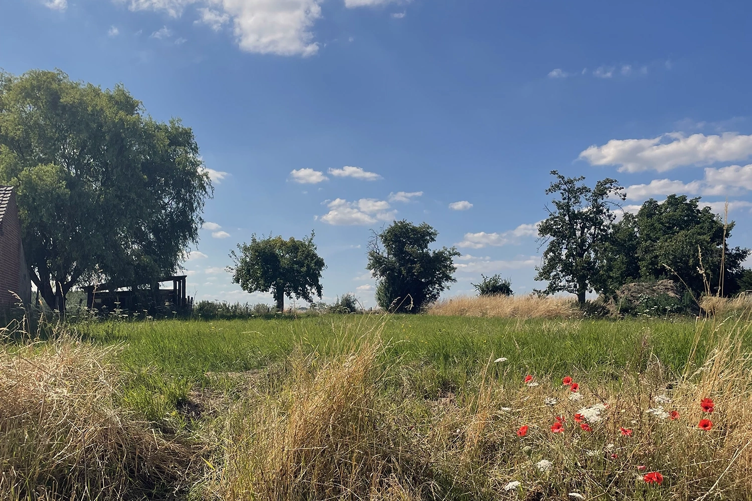 Foto van de bouwgrond van Philippe uit Haren
